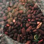 Red Yeast Rice