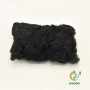 Black Moss