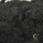 Black Moss