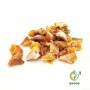 South African Dried snail