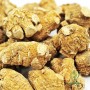 Ginseng
