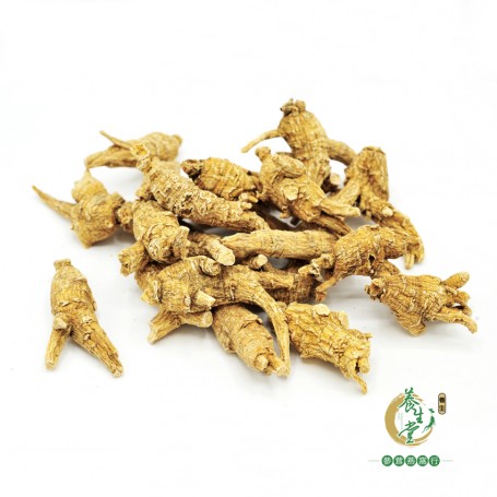 American Short American Ginseng