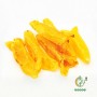 深海黃花魚花膠 15頭