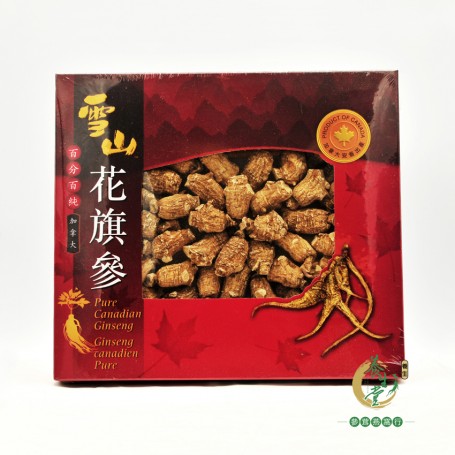雪山圓粒泡參