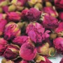 Dried Rose