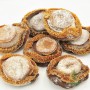 South Africa Abalone